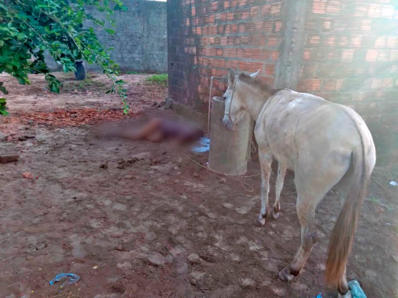 Zoofilia homem tenta ‘transar’ com burra e morre após receber coice