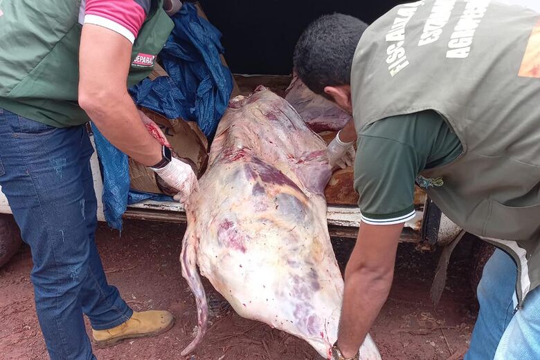 Mais de 400 quilos de carne imprópria para consumo são apreendidos em Igarapé Miri