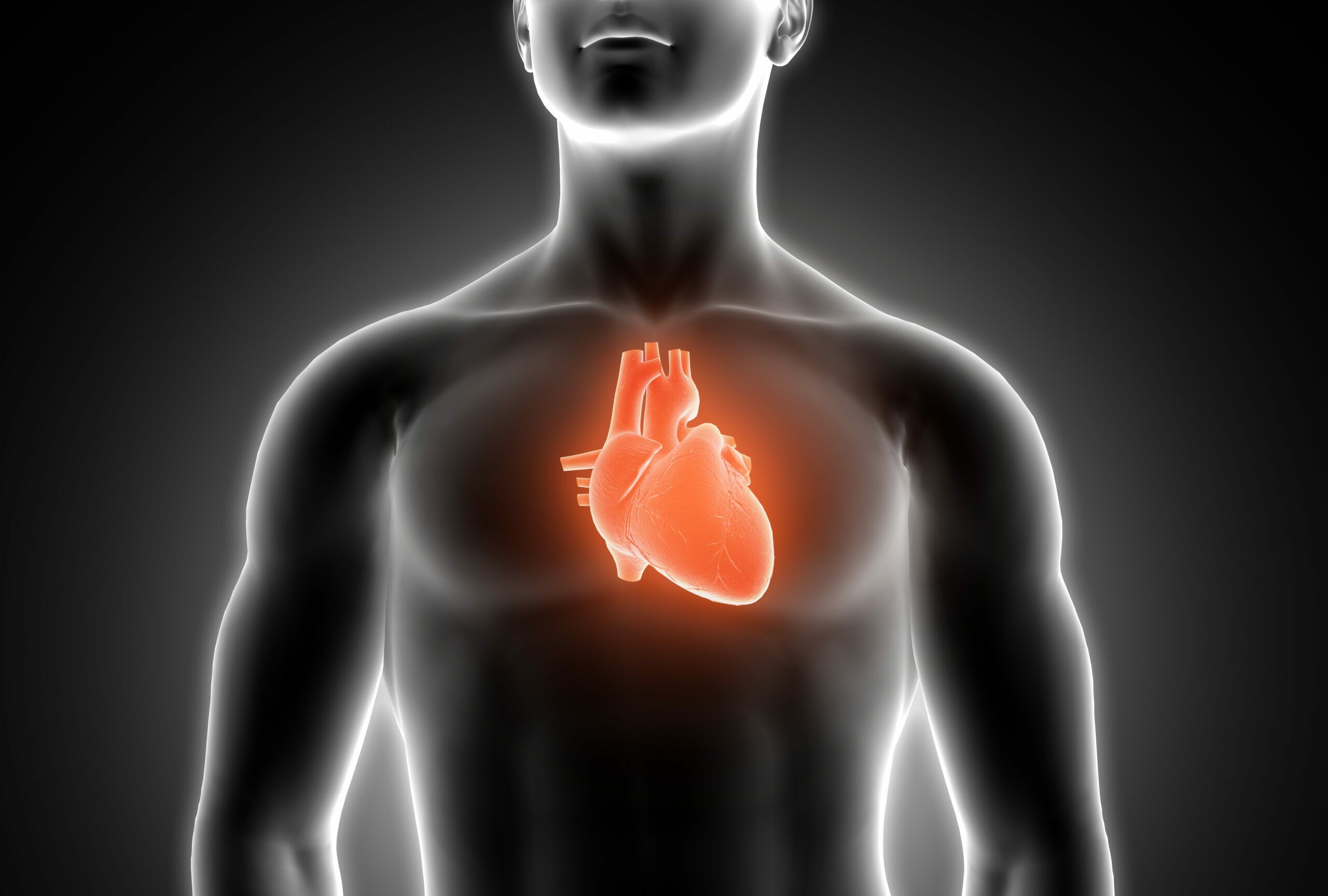 Diabetes e obesidade exigem mais cuidados com o coração