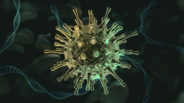 São Luís (MA) e Marabá (PA) as cidades que mais pesquisaram ”cepa indiana” as 10 perguntas mais frequentes