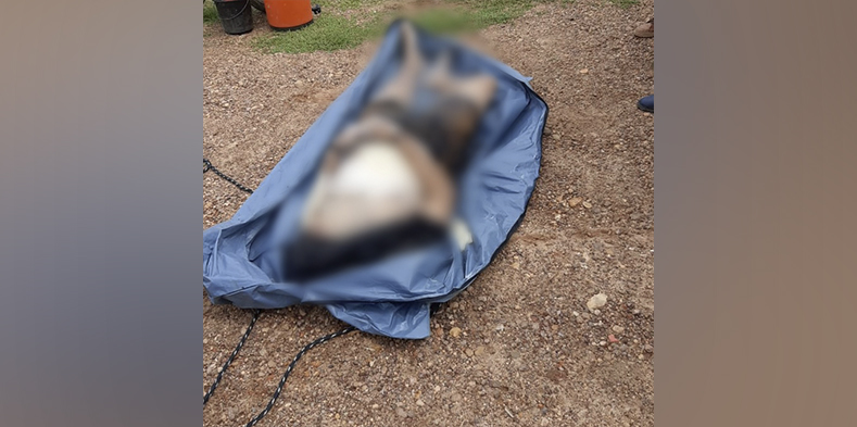 Corpo decapitado pode ser de uber desaparecido