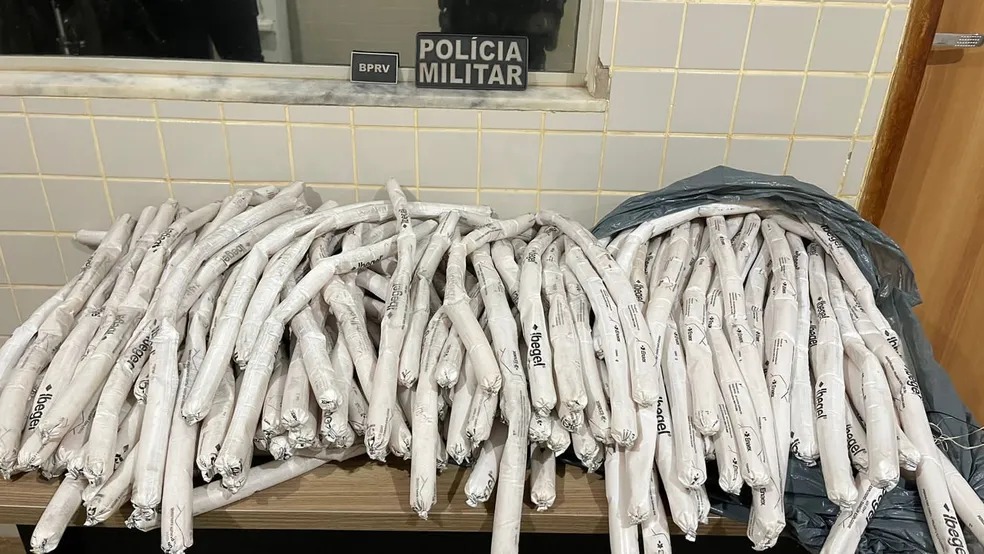Polícia Militar apreende 142 bananas de dinamite no sudeste do Pará