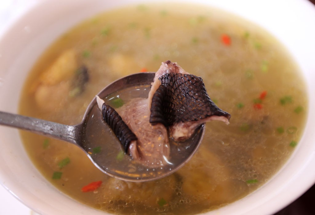 Chefe de cozinha morre ao tentar cortar cabeça de cobra