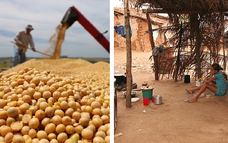 Brasil tem 19 milhões de pessoas passando fome em meio à pandemia