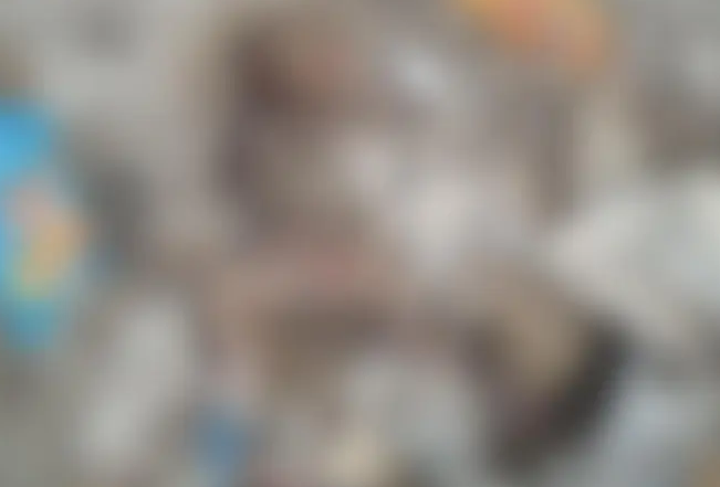 Corpo de bebê em decomposição é encontrado em depósito de lixo de Tailândia