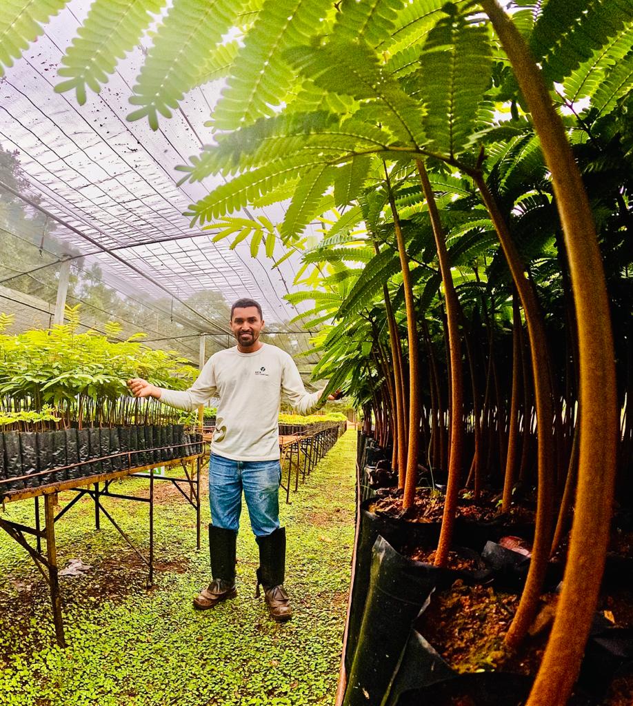 “O produtor de florestas”: Conheça a história do piauiense, paraense de coração, que ajudou a produzir de mais de 2 milhões de mudas e a recuperar áreas degradadas na floresta amazônica