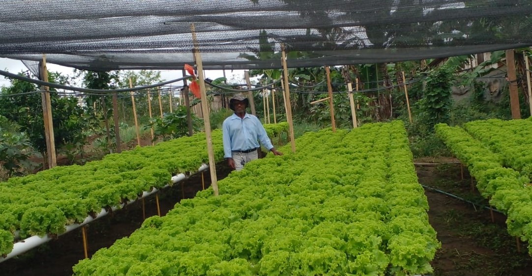 Trabalho desenvolvido por técnicos agrícolas favorece produção agropecuária no sudeste do Pará