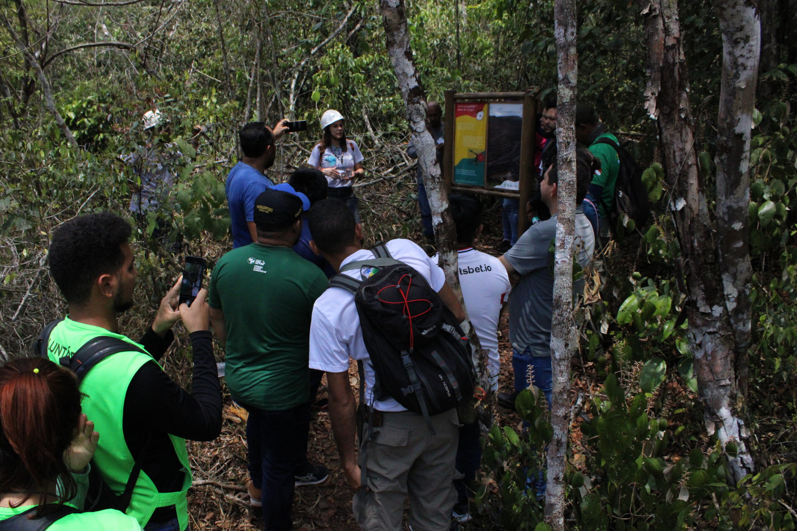 Sinalização desperta curiosidade em trilhas na Floresta Nacional de Carajás