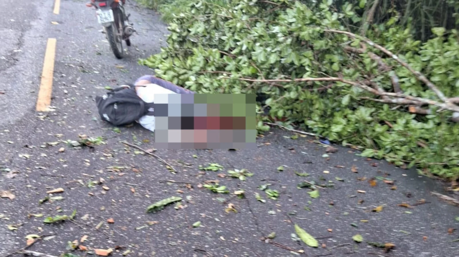 Motociclista morre após colidir com árvore caída em estrada de São Domingos do Capim