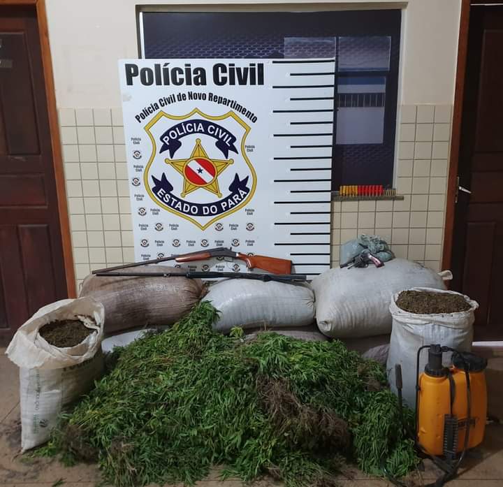 Operação ‘Dom Quixote’ prende armas e drogas em Novo Repartimento