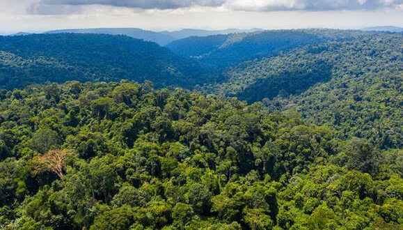 Vale lança Plano de Gestão de Biodiversidade de Carajás