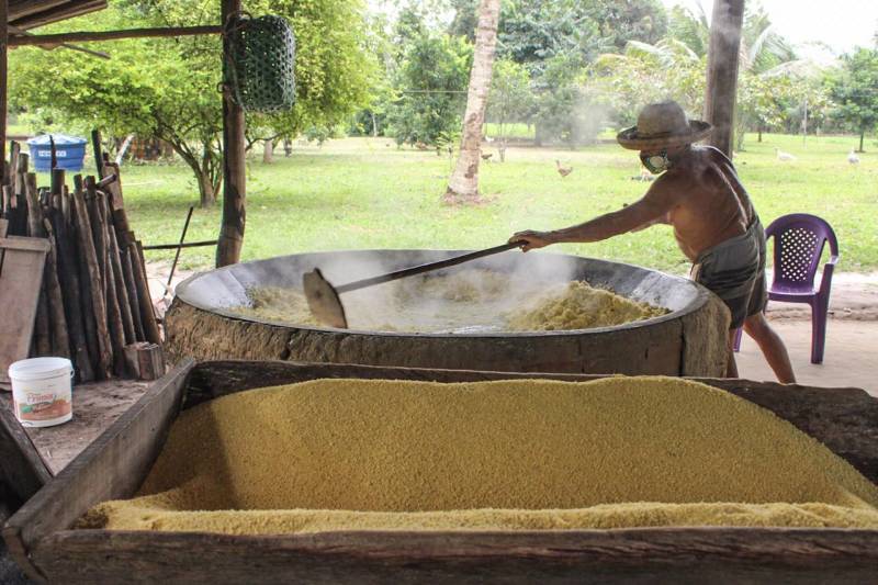 Que a farinha de Bragança é a melhor farinha que você vai comer isso ninguém discorda