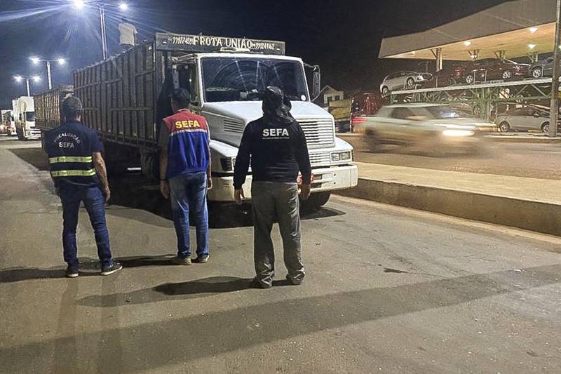 Sefa apreende 85 cabeças de gado sem nota fiscal em Dom Eliseu