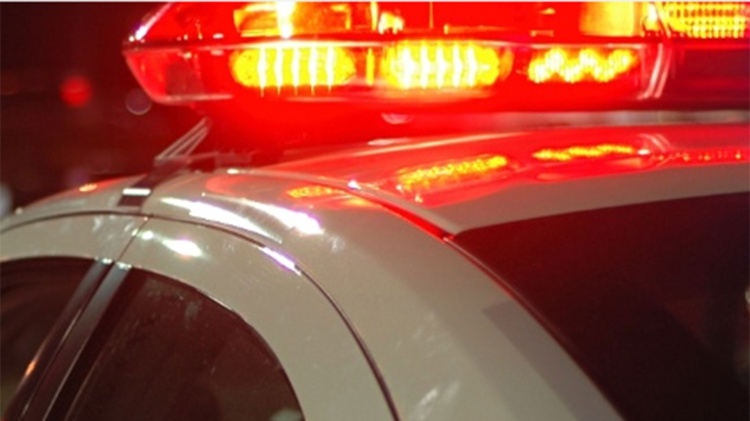 Homem é preso em flagrante por maus-tratos a cachorro em Belém