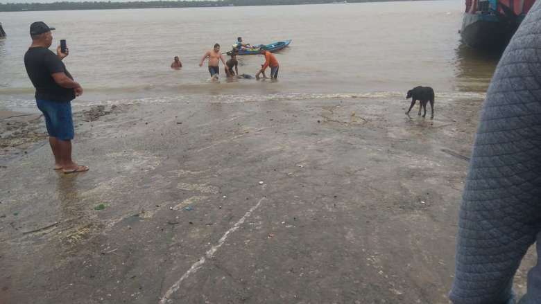 Vídeo: corpo de homem é encontrado após ser puxado por sucuri em porto de Belém