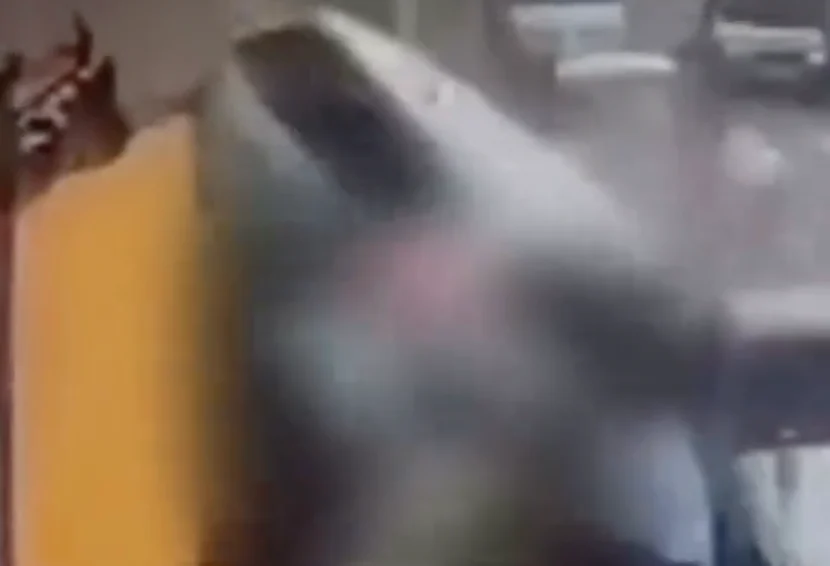 Tragédia em Diadema: carro invade calçada e mata duas crianças; motorista é investigado