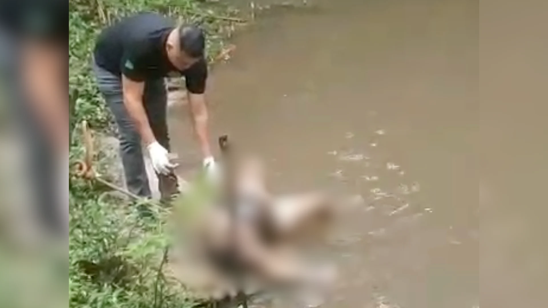 Corpo de mulher é encontrado boiando em rio em Benevides, na Grande Belém