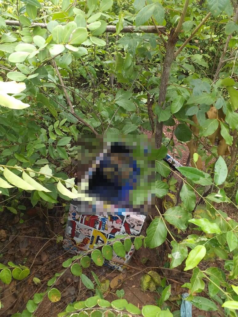 Corpo de mulher achado em caixa de presente