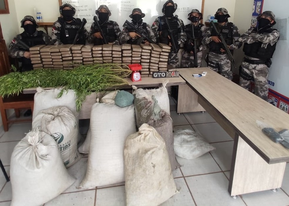 PM encontra plantação de maconha no Pará e resgata quatro vítimas de trabalho análogo à escravidão