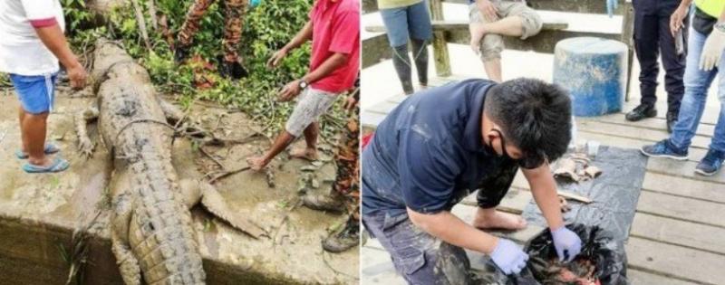 Restos mortais de adolescente são achados dentro de crocodilo