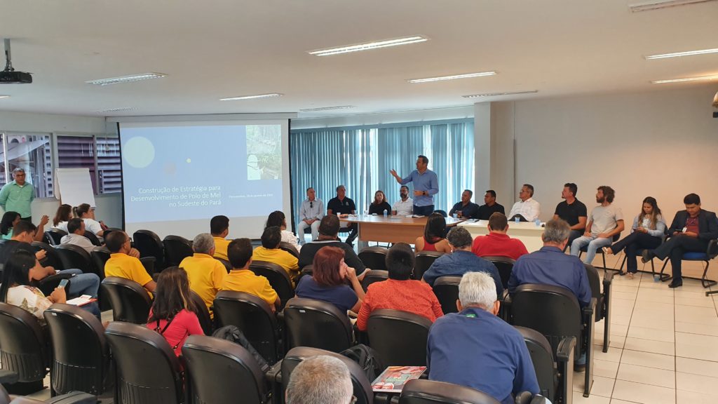 Encontro discute estratégias para o desenvolvimento do Polo de Mel no Sudeste do Pará