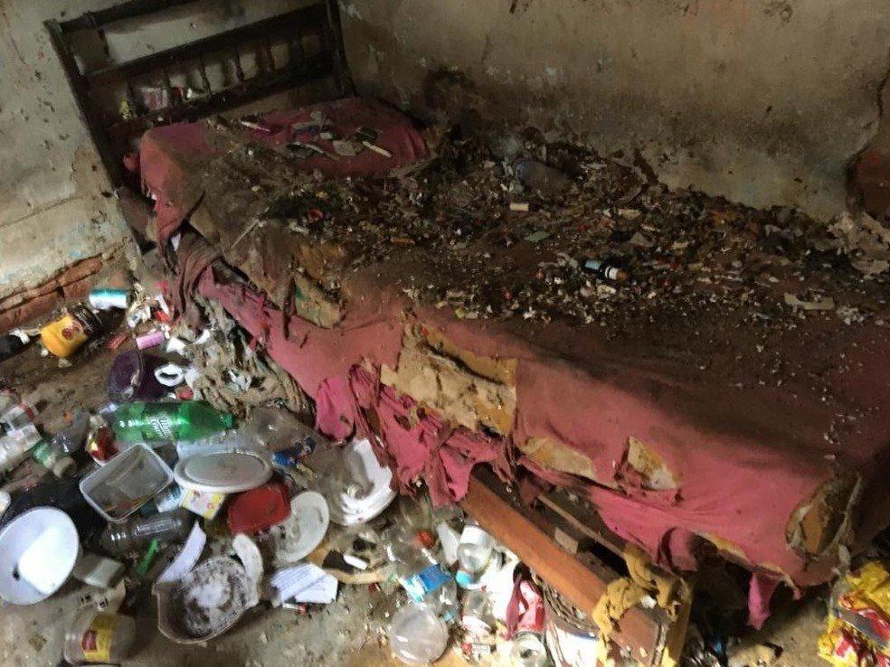 Mulher é retirada de casa com mais de 100 ratos e 3 toneladas de lixo