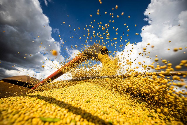 Agronegócio bate recorde de US$ 13 bilhões em exportações em maio