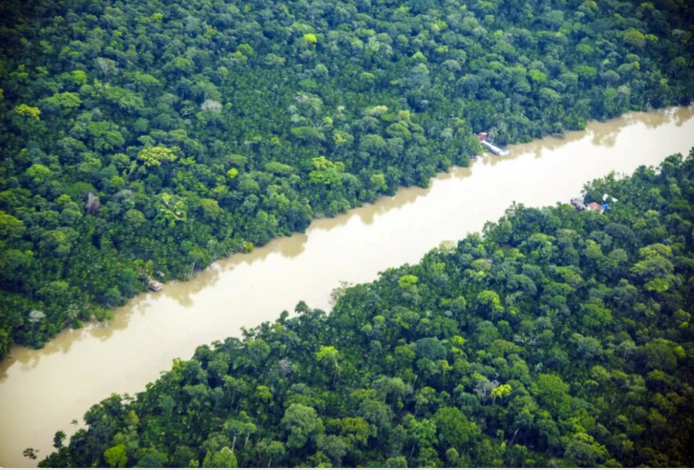 Pará: AGU Busca R$ 293 Milhões em 59 Ações contra Desmatamento e Mineração Ilegal