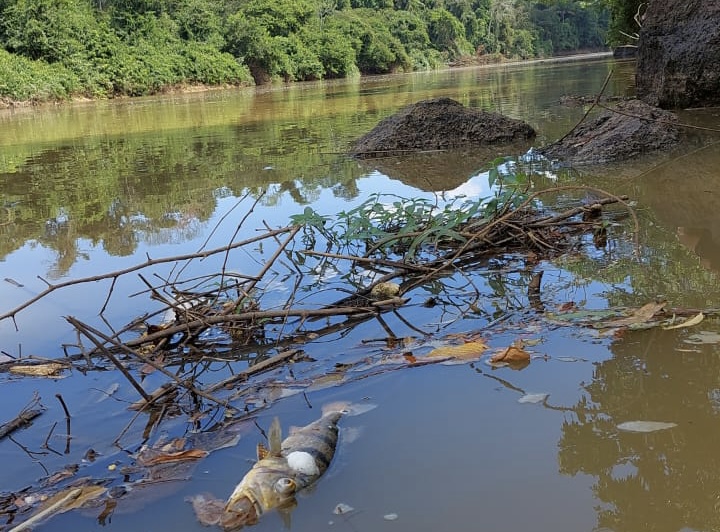 Vídeo: crime ambiental? Rio Parauapebas está sendo tomado por intensa lama
