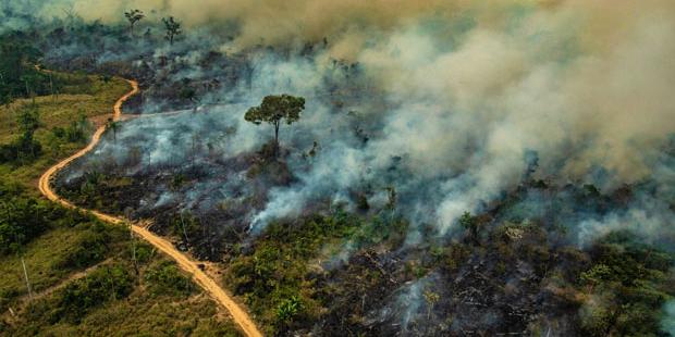 No interior do Pará, queimadas e covid-19 aumentam riscos à saúde