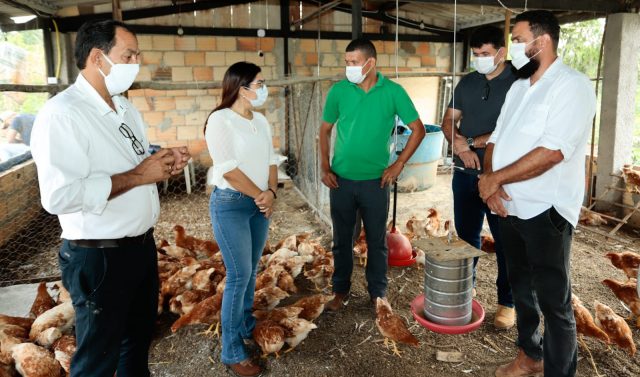 Com apoio da prefeitura, empreendedor local espera produzir até 8 mil ovos diários em granja