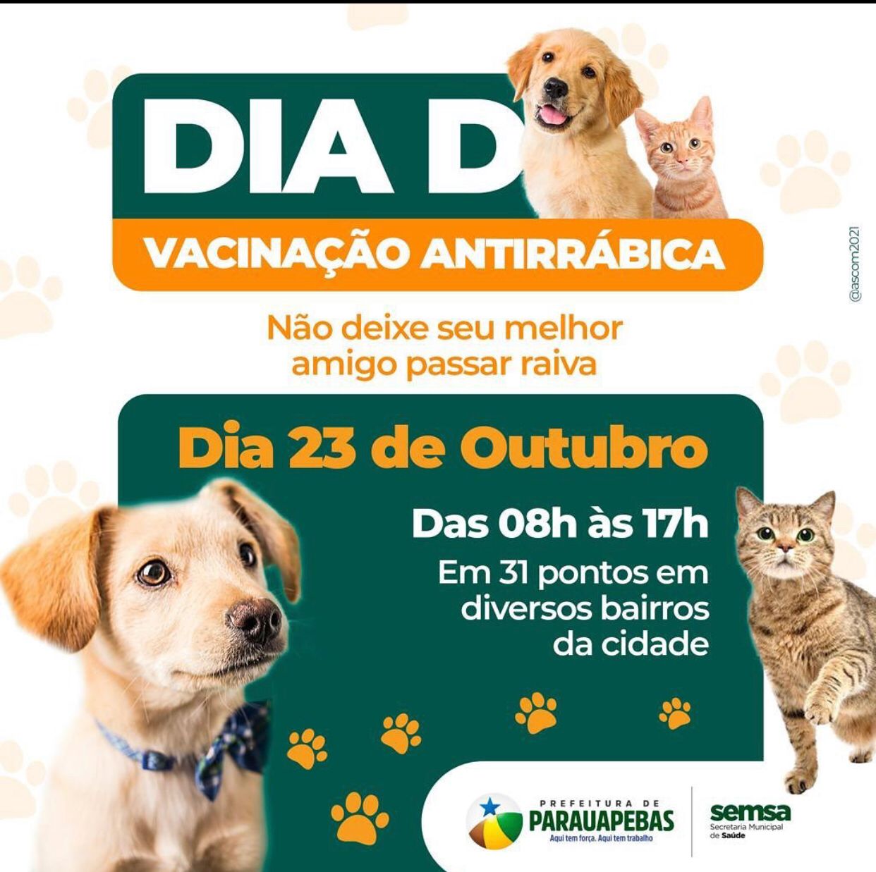 Vacinação antirrábica em Parauapebas neste sábado (23)