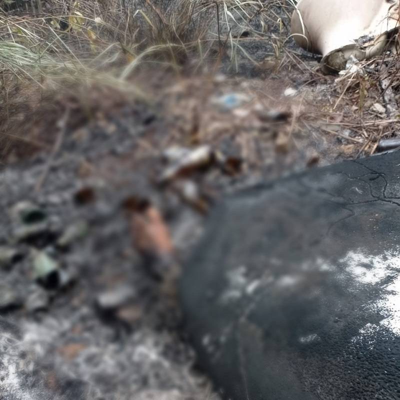 Moradores encontram corpo decapitado e queimado em Parauapebas