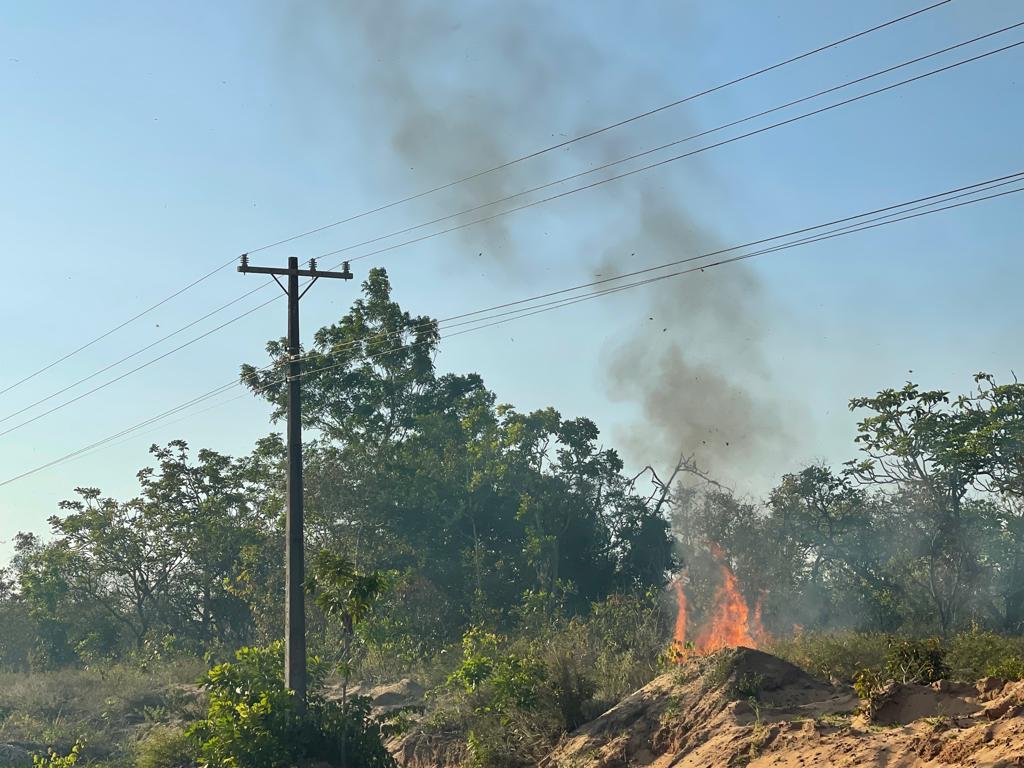 Queimadas começam a prejudicar o fornecimento de energia elétrica no Pará