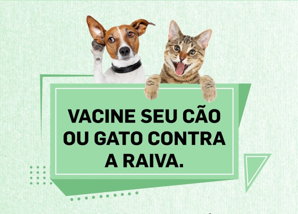 Unidade de Zoonoses disponibiliza 100 doses da vacina antirrábica