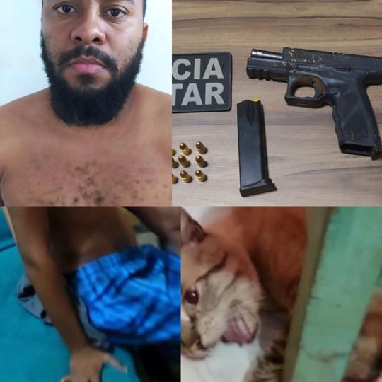 Tentativa de homicídio, servidor público mata gato de ex e atinge criança com um tiro