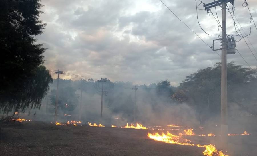 Queimadas já são responsáveis por 71 casos de falta de energia no sul e sudeste do Pará; Parauapebas é a cidade com mais casos