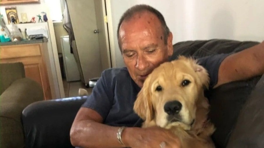 Homem morre tentando proteger cachorro de incêndio