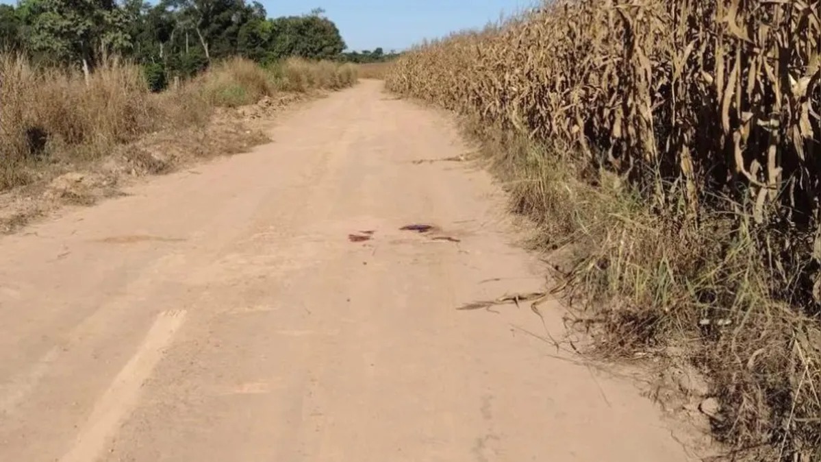Mulher é morta com tiros na cabeça e nas costas em Marabá