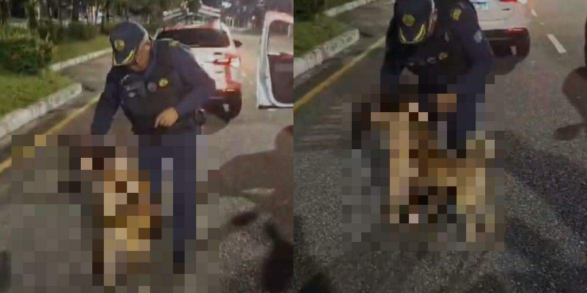 Criança é resgatada após ser vista andando nua no meio de avenida; confira o vídeo