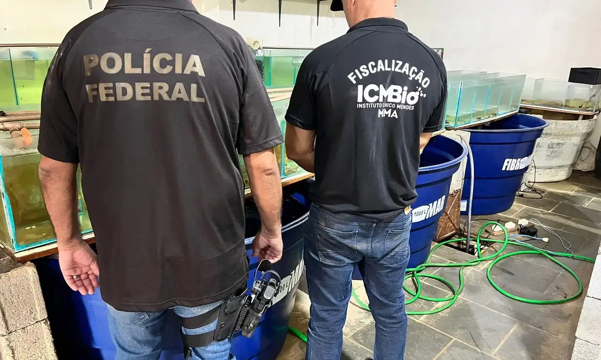 PF faz operação contra venda de animais marinhos ameaçados de extinção