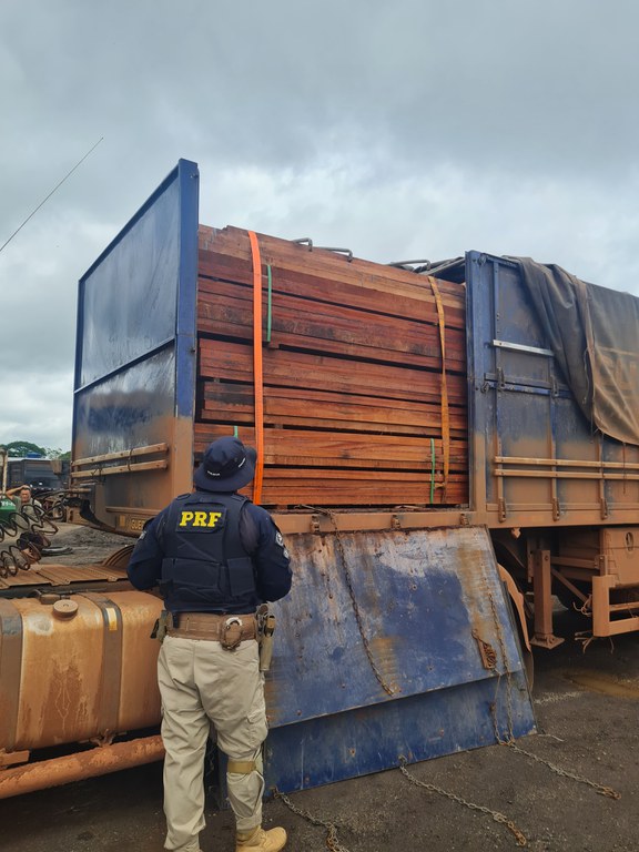 PRF apreende 53m³ de madeira ilegal