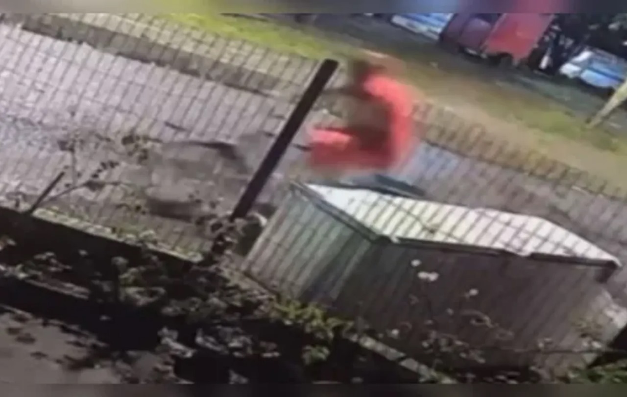 Mulher ataca em vários bairros de Belém