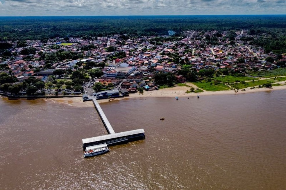 MP pede que Polícia Civil investigue desmatamento na ilha de Mosqueiro