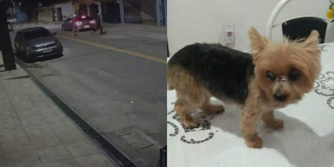 Quadrilha invade casa, faz família refém, rouba 2 carros e cadela em Belém