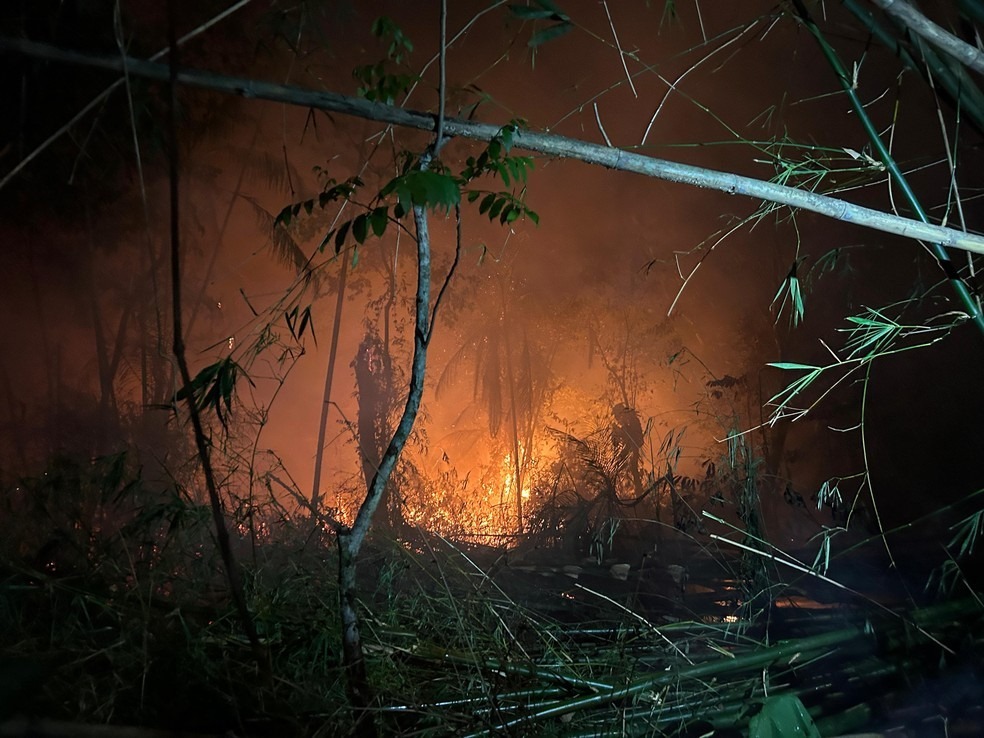 Incêndio atinge área de mata e assusta moradores, em Belém