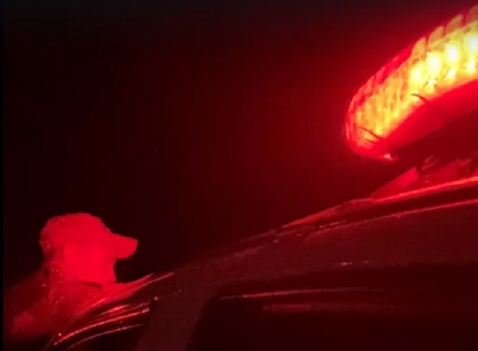 Mulher é agredida até a morte, em Belém