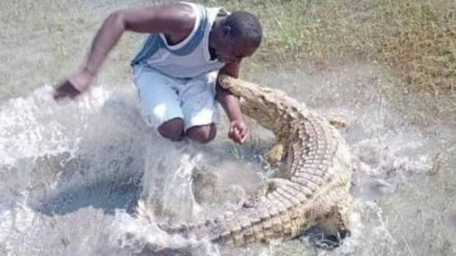 Homem é atacado por crocodilo após provocar o animal