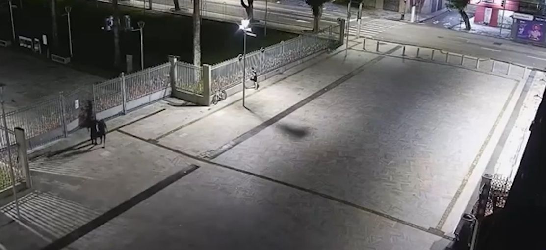 Suspeito de furtar fios elétricos da Praça Santuário é preso na Grande Belém