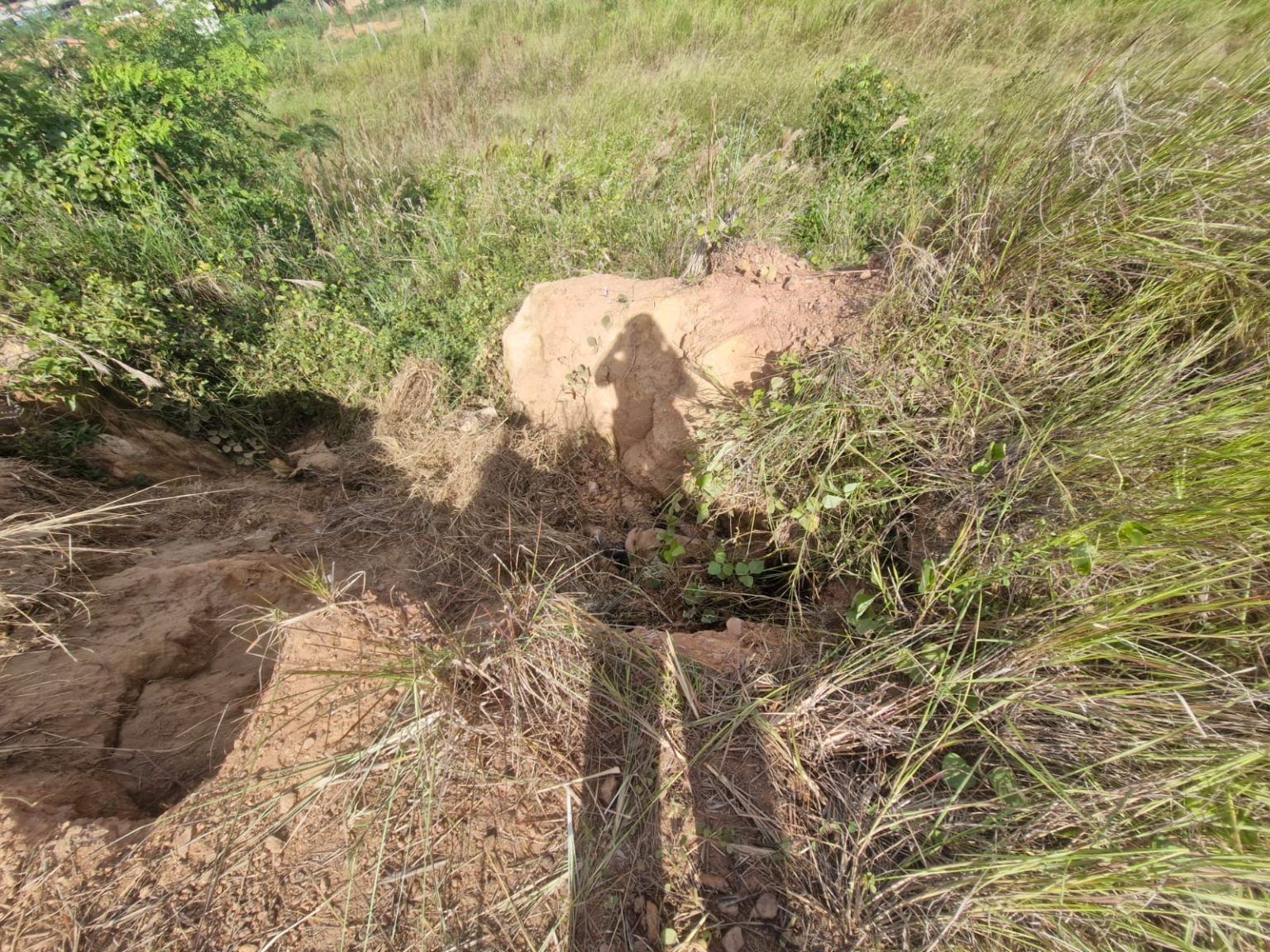 Parauapebas: Jovem desaparecido é encontrado morto em cova rasa